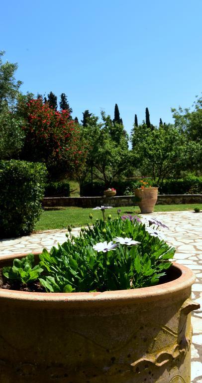 Villa Rose Garden Ágios Ioánnis Екстериор снимка